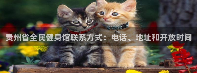 尊龙凯时ag旗舰厅登陆：贵州省全民健身馆联系方式：电话、