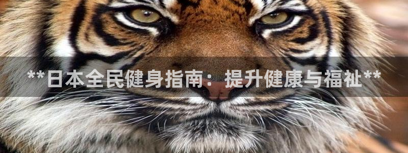 尊龙官网国际：**日本全民健身指南：提升健康与福祉**