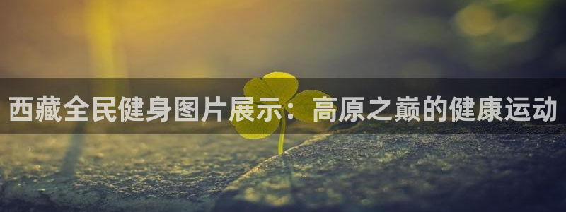 凯时国际网站域名：西藏全民健身图片展示：高原之巅的健康运