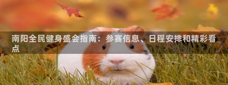 凯时旗舰厅App下载：南阳全民健身盛会指南：参赛信息、日