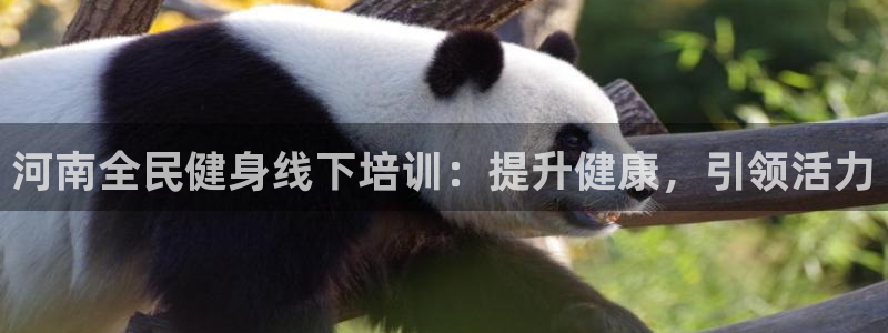 Z6尊龙老版：河南全民健身线下培训：提升健康，引领活力