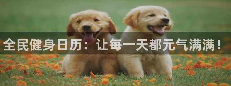 尊龙官方APP下载：全民健身日历：让每一天都元气满满！