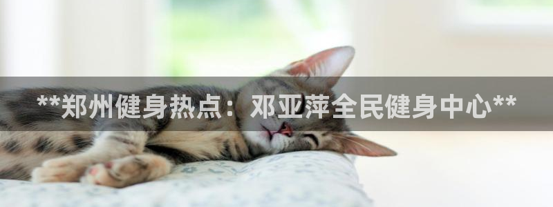 尊龙手机版下载：**郑州健身热点：邓亚萍全民健身中心**