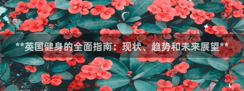 尊龙人生手机版：**英国健身的全面指南：现状、趋势和未来