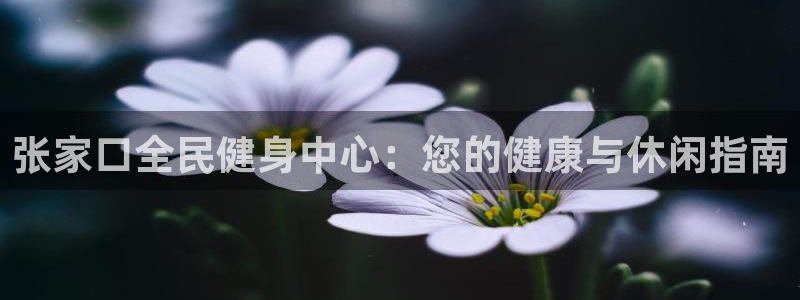 尊龙官方平台是正品吗：张家口全民健身中心：您的健康与休闲