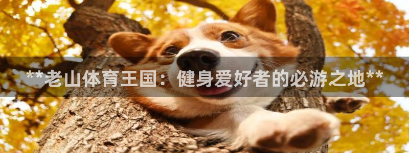 Z6尊龙官网入口：**老山体育王国：健身爱好者的必游之地