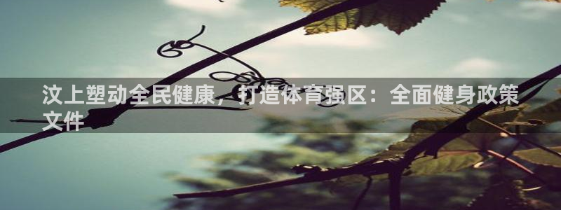 尊龙凯时代理能提出来不：汶上塑动全民健康，打造体育强区：