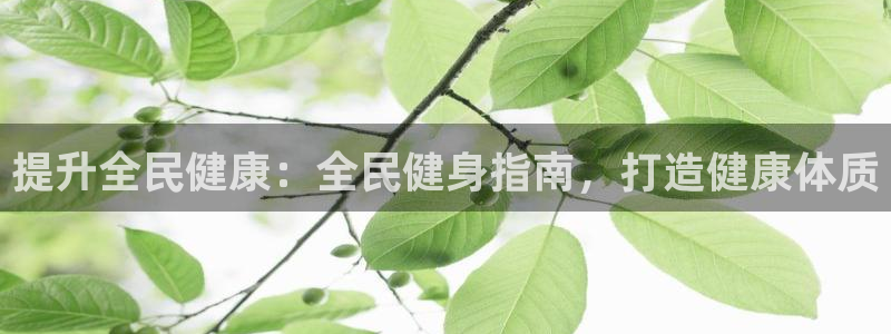 尊龙长相评价：提升全民健康：全民健身指南，打造健康体质