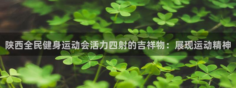 尊龙集团有限公司官网地址：陕西全民健身运动会活力四射的吉