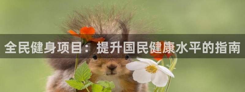 尊龙凯时处理未到账：全民健身项目：提升国民健康水平的指南