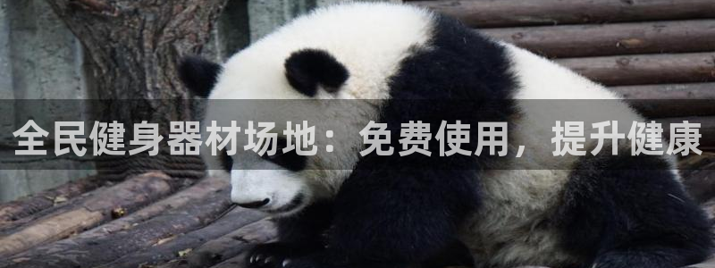 尊龙体育电竞官网：全民健身器材场地：免费使用，提升健康
