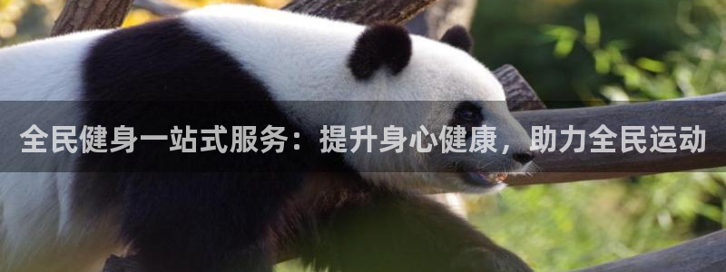 尊龙 国外：全民健身一站式服务：提升身心健康，助力全民运