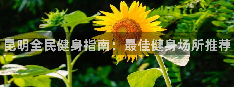 尊龙官网手：昆明全民健身指南：最佳健身场所推荐