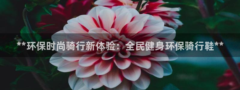 尊龙长相评价：**环保时尚骑行新体验：全民健身环保骑行鞋