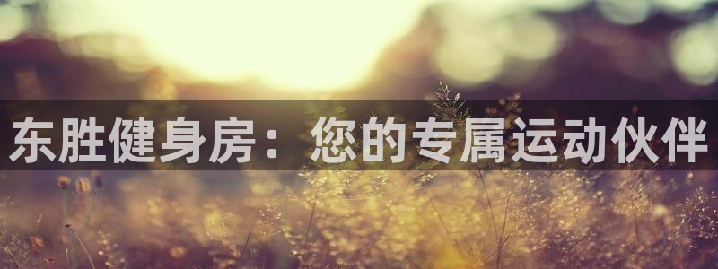 凯时网址多少